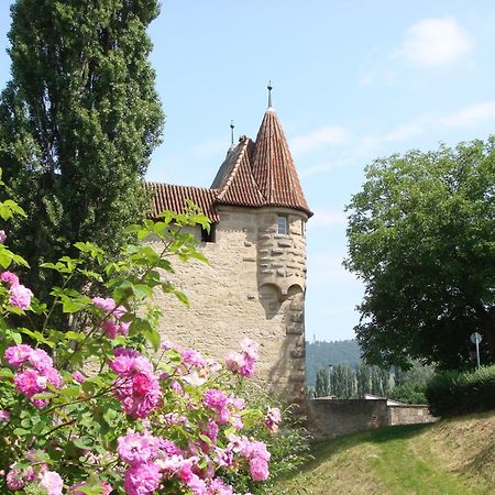 Weingut Gaestehaus Weigand Iphofen Εξωτερικό φωτογραφία