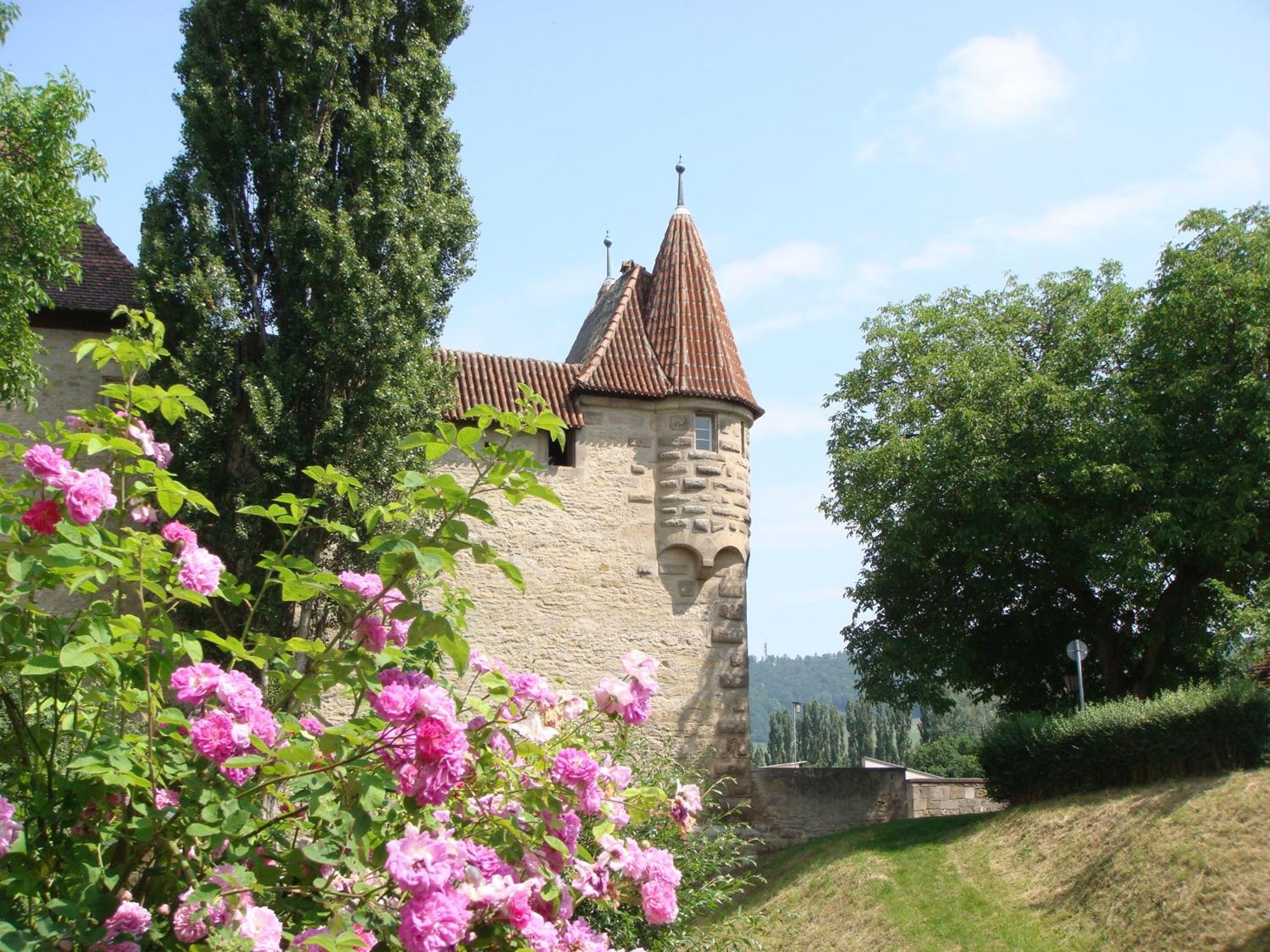 Weingut Gaestehaus Weigand Iphofen Εξωτερικό φωτογραφία