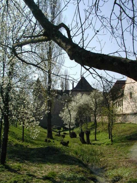 Weingut Gaestehaus Weigand Iphofen Εξωτερικό φωτογραφία
