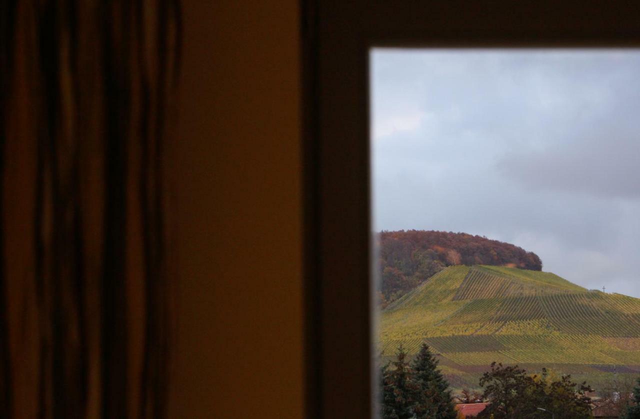Weingut Gaestehaus Weigand Iphofen Εξωτερικό φωτογραφία